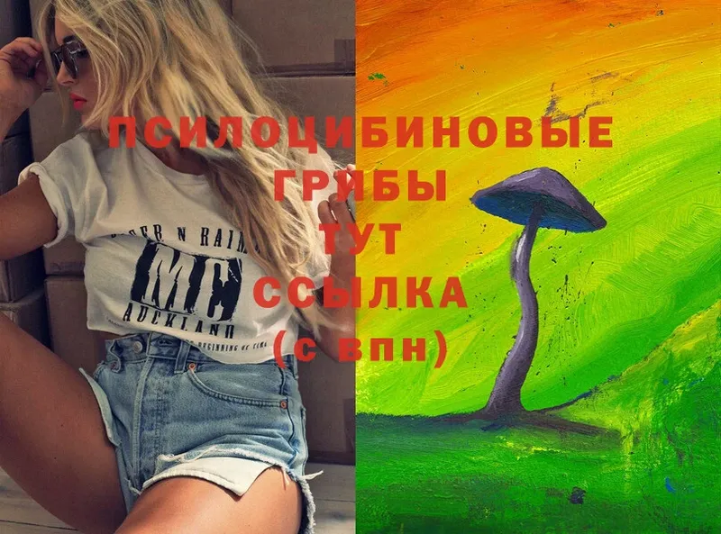 Псилоцибиновые грибы Magic Shrooms  Барыш 